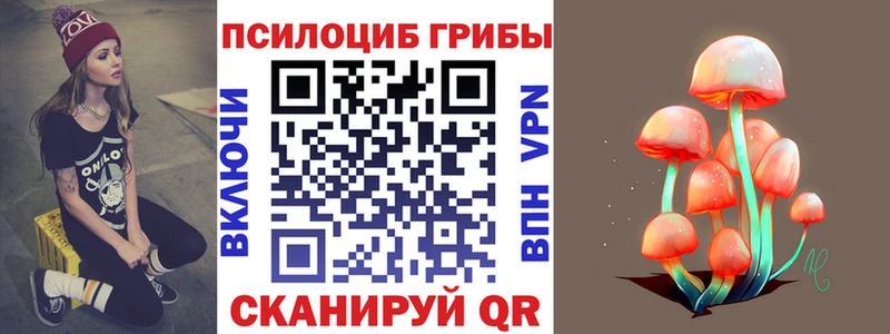 OMG сайт  Назрань  Галлюциногенные грибы прущие грибы 